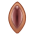 pussy :pussy: